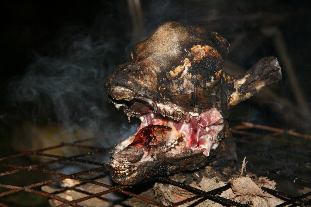 BBQ Goat Head: So Goaty!