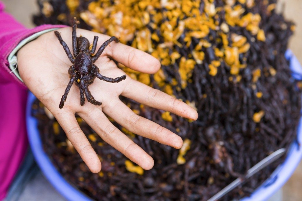 Fried Tarantula So Crispy Creepy and Crawly