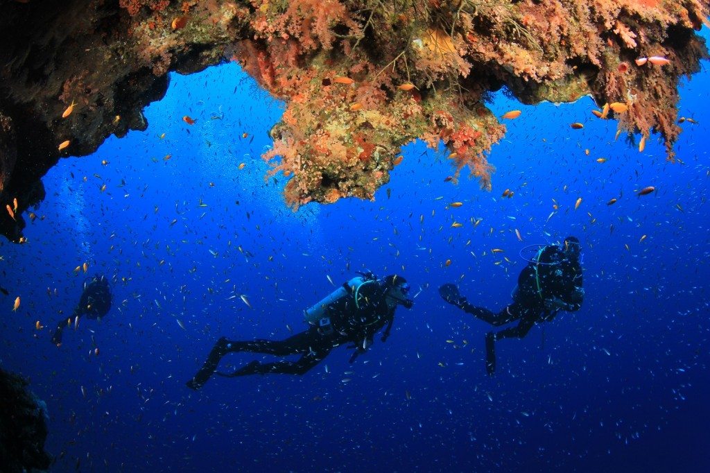 10 Deadly Hobbies Your Insurance Agent Probably Hates You For 1 Scuba Diving