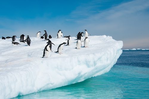 Antarctica: Cold but safe.