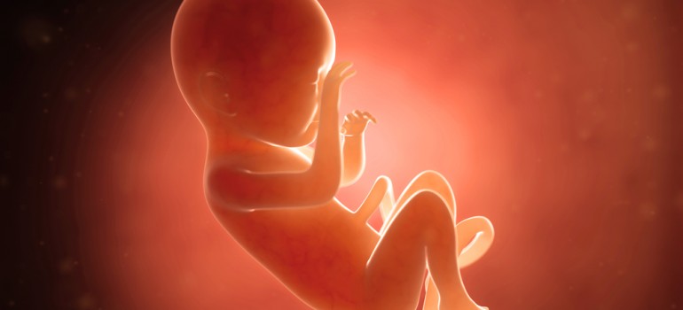 Top 10 Arguments in Favor of Abortion