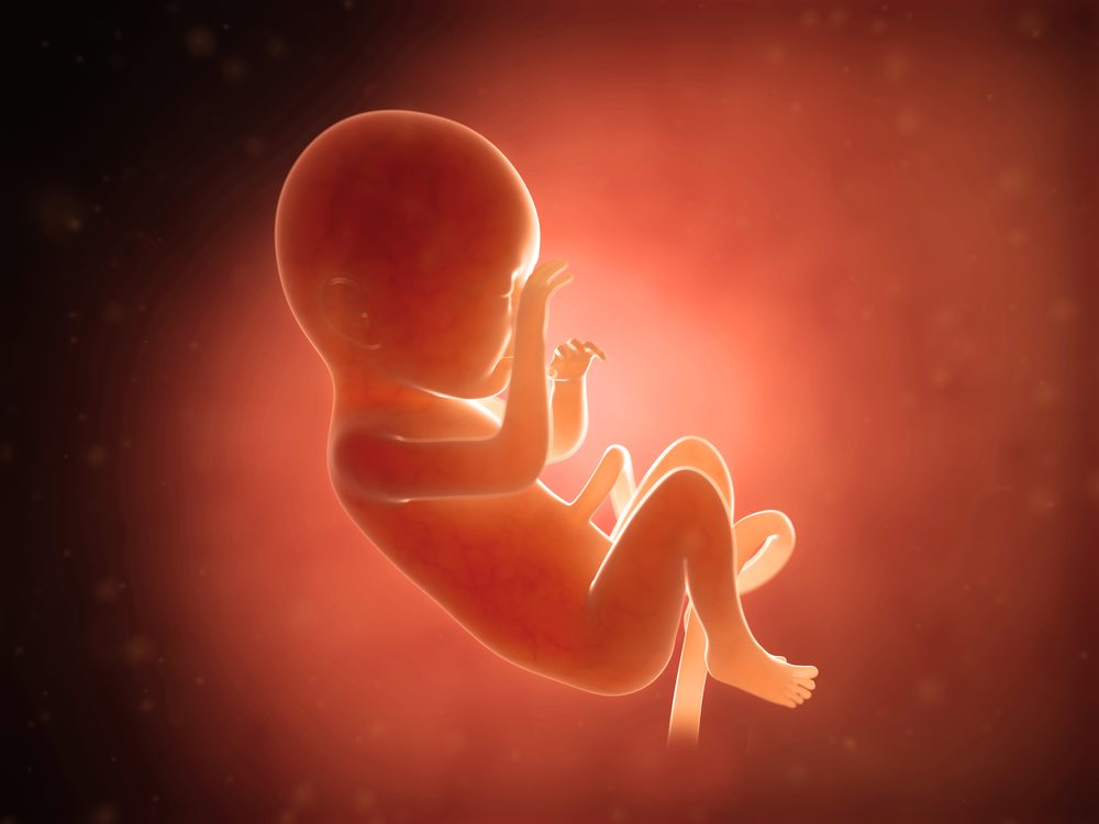 Top 10 Arguments in Favor of Abortion