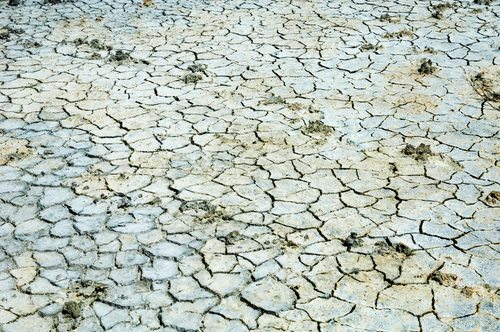 Mandatory Childhood Vaccination Vaccines Encourage Source Drying