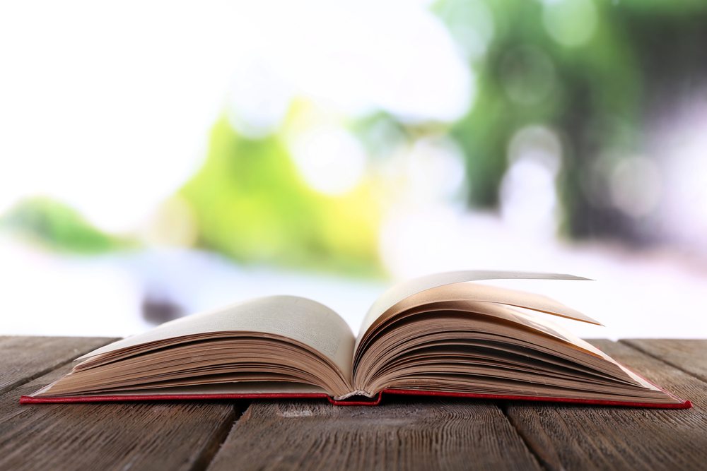 Harper Lee only wrote one novel, To Kill a Mockingbird