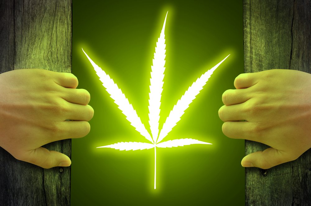 Marijuana Legalization will make everyplace safer