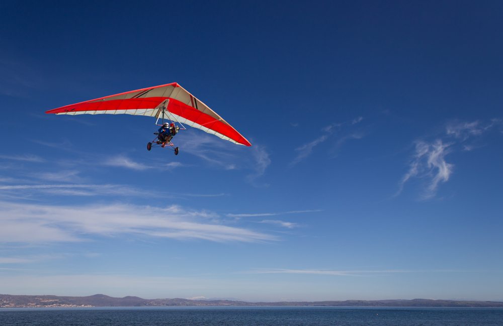 Gliders were all the rage