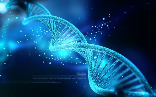 Obesity caused by a mysterious fat gene. Not likely