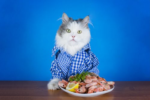 Tabby the cat loves shrimp. What a gentleman
