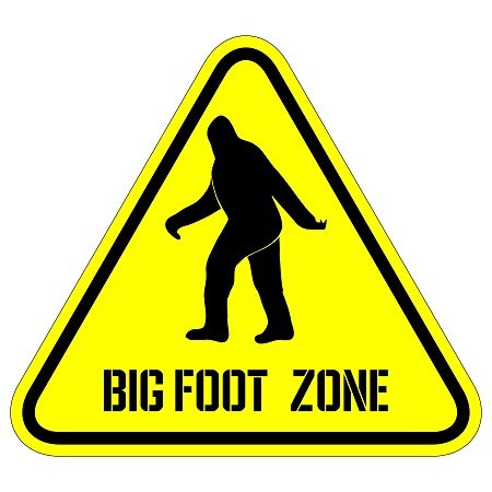 Top 10 Reasons the Bigfoot Myth is Still Popular