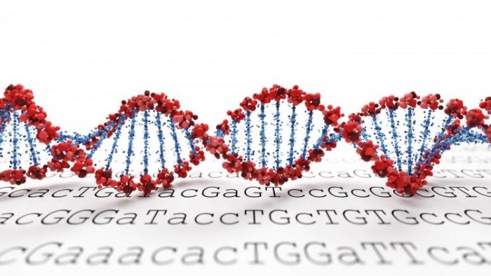 Top 10 Wrongful Convictions Overturned by DNA Evidence