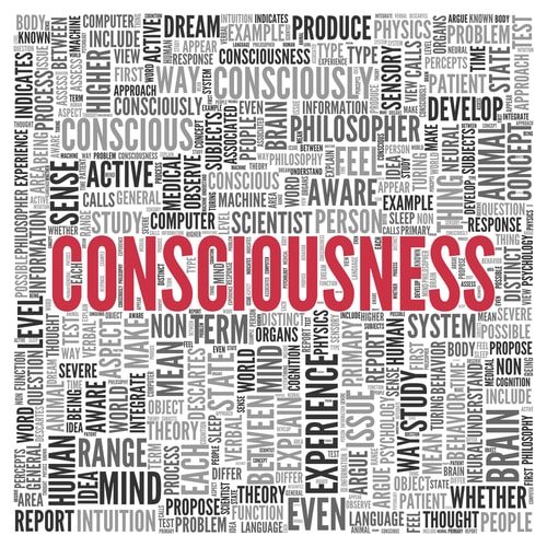 Top 10 Facts About the Inevitable Technological Singularity 2 Consciousness a Paradox