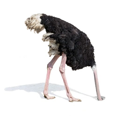 Top 10 Terrible Ways To Get Out Of Debt 6 Don't just stick your head in the sand