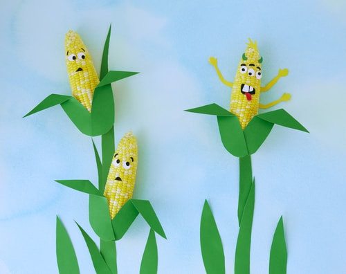 Genetically Modified Frankenstein Corn.