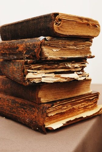 Austen's niece thought her book looked like trash
