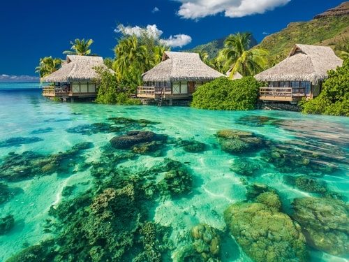 Fiji celebrated fatness? That should be the headline.