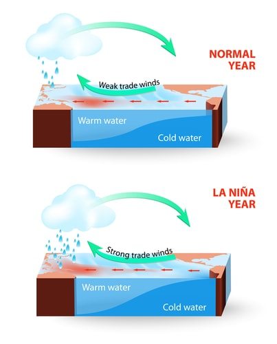 La Nina compared to a normal year.