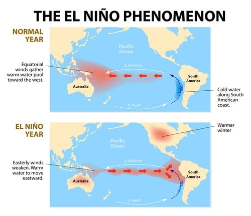 The El Nino Phenomenon explained in a nice little graphic