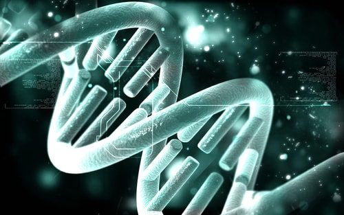 Your DNA made you do it!