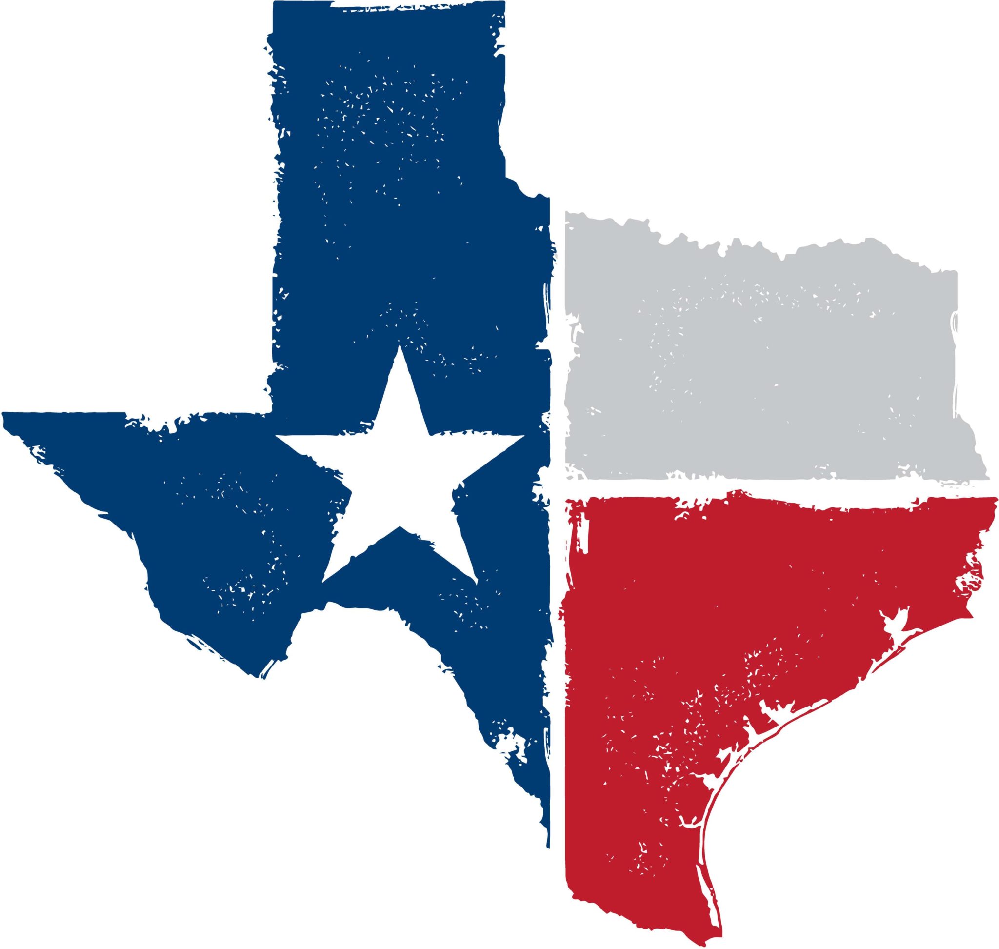 Top 10 Facts About Beyoncé Knowles 1 BK is from Texas.