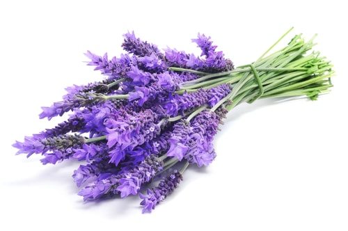 Eat lavender to Naturally lower your blood pressure.