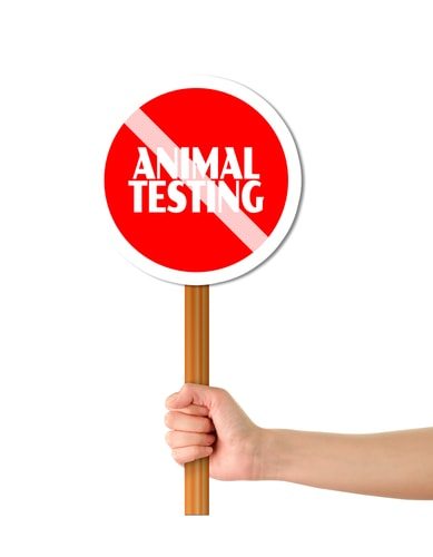 Top 10 Reasons Animal Testing Should Be Banned