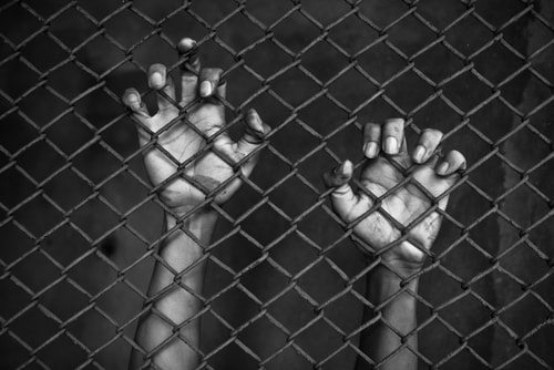 Donald Trump slammed POWs. The Chutzpah!