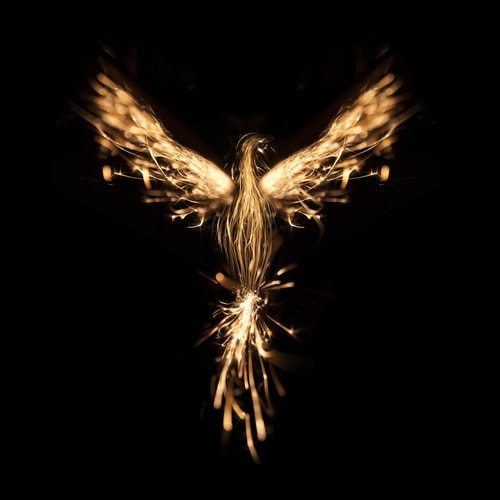 10 Things Everyone Always Gets Wrong About the X-Men 9 Jean Grey is not a bird.