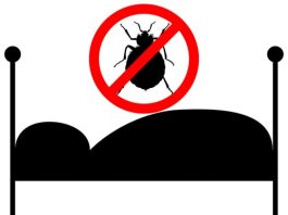 How to Get Rid of Bed Bugs in 10 Easy Steps