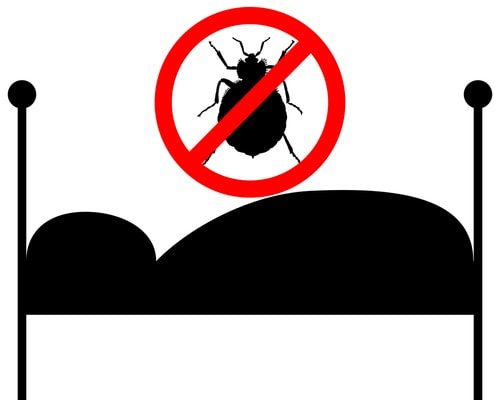 How to Get Rid of Bed Bugs in 10 Easy Steps 1 How to Get Rid of Bed Bugs in 10 Easy Steps