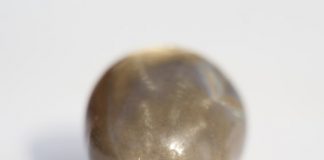 How to Remove a Tick Properly in 10 Steps