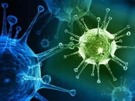 Top 10 Things You Should Know About the Flu (Influenza)