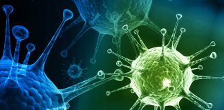 Top 10 Things You Should Know About the Flu (Influenza)