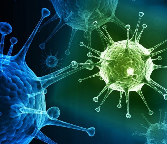 Top 10 Things You Should Know About the Flu (Influenza)