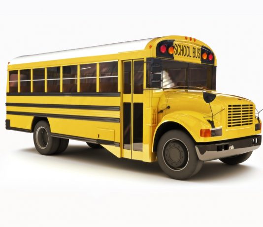 10 Things You Need for Adult Life but Don’t Learn in School