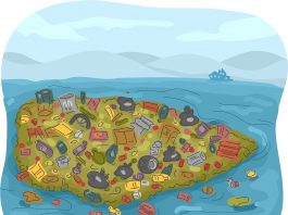 The Great Pacific Garbage Patch is Huge!