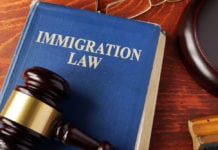 Illegal immigration