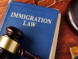 Illegal immigration