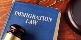 Illegal immigration