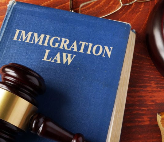 Illegal immigration