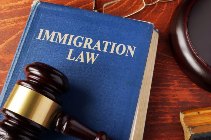 Illegal immigration