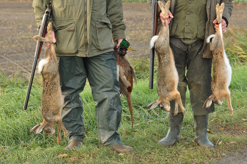 10 Reasons Animal Hunting should be Banned