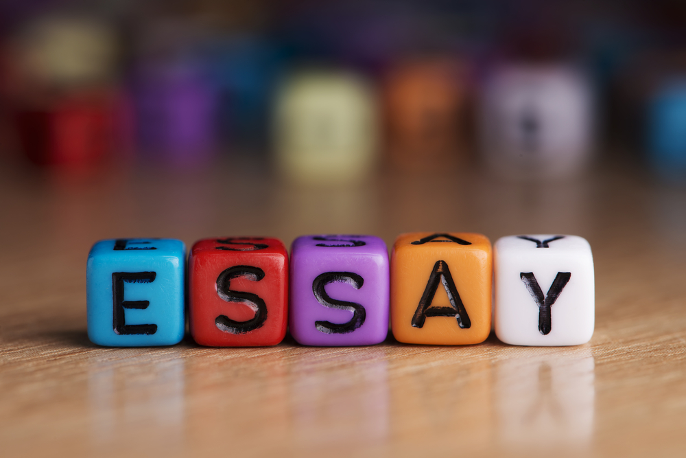 Writing an Essay 1